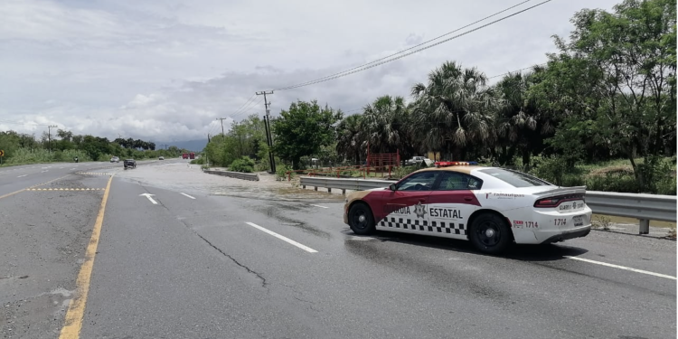 Alerta: circulación cerrada en carril de norte a sur en Carretera Federal 85